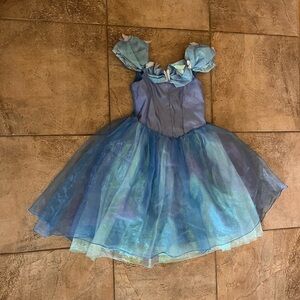 Disney Parks Authentic Cinderella Halloween Costume Sz L 10